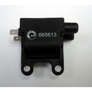 Double Ignition Coil, 912 iS