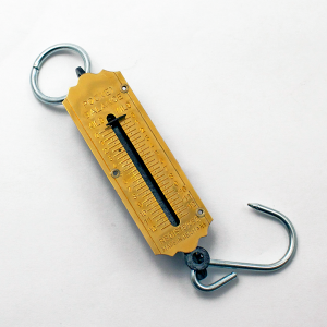 Spring Scale 12,5 KG	